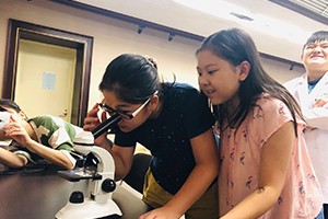 學童認真觀看顯微鏡下的過敏原-塵蟎
